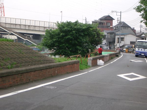 多摩川【羽田赤煉瓦堤防】(大師橋以東)