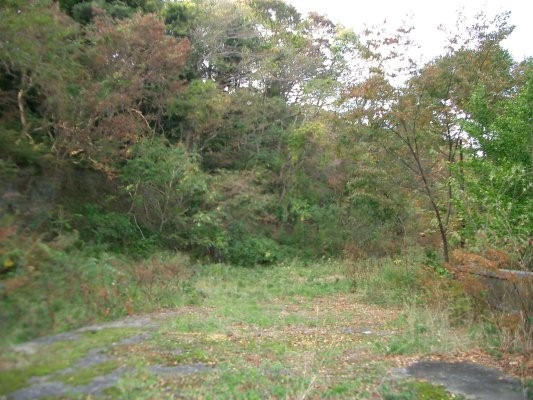 ラサ工業田老鉱山跡【鍬ケ崎鉱石貯蔵施設跡】平場全景