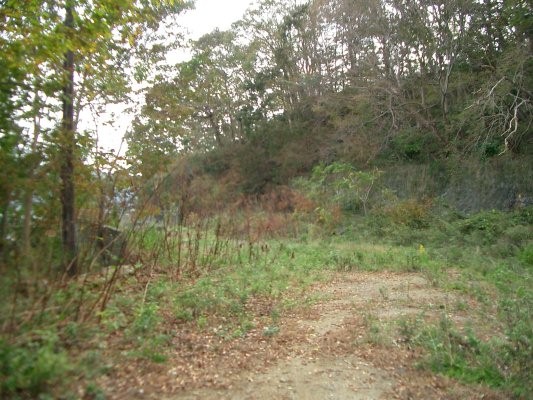 ラサ工業田老鉱山跡【鍬ケ崎鉱石貯蔵施設跡】平場全景