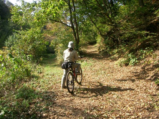 ラサ工業田老鉱山跡【宮古精錬所跡大煙突】アプローチルート途中の分岐点