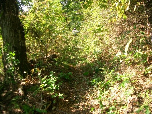 ラサ工業田老鉱山跡【宮古精錬所跡大煙突】アプローチルート