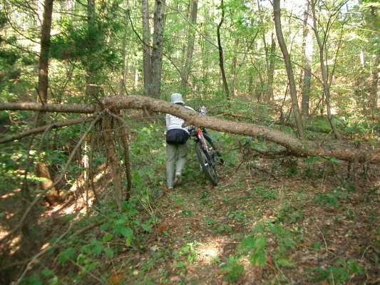 ラサ工業田老鉱山跡【宮古精錬所跡大煙突】アプローチルート