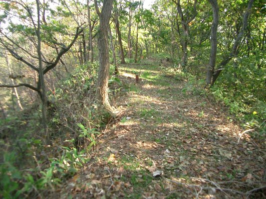 ラサ工業田老鉱山跡【宮古精錬所跡大煙突】アプローチルート