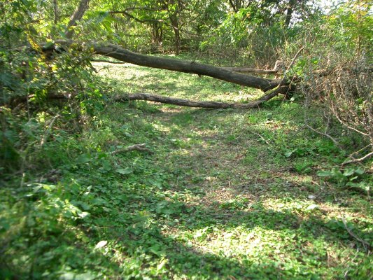 ラサ工業田老鉱山跡【宮古精錬所跡大煙突】アプローチルート