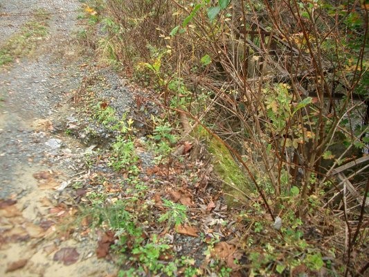 ラサ工業田老鉱山跡【田老鉱山】 第一巻鉱山橋