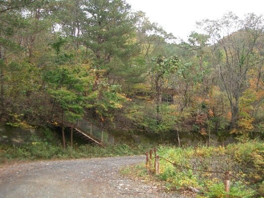 ラサ工業田老鉱山跡【田老鉱山】 第一巻幹部社宅(?)跡