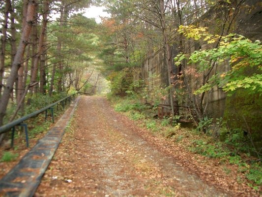 ラサ工業田老鉱山跡【田老鉱山】 第二巻選鉱所