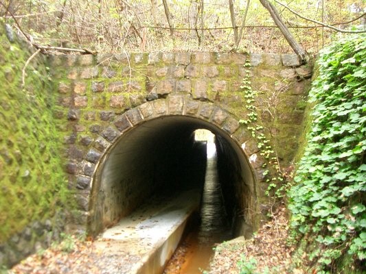 ラサ工業田老鉱山跡【田老鉱山】 第二巻沢トンネル