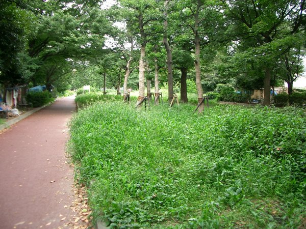 JR 東日本南武線貨物支線跡【矢向～川崎河岸】(国道 1 号付近～川崎河岸駅跡付近)