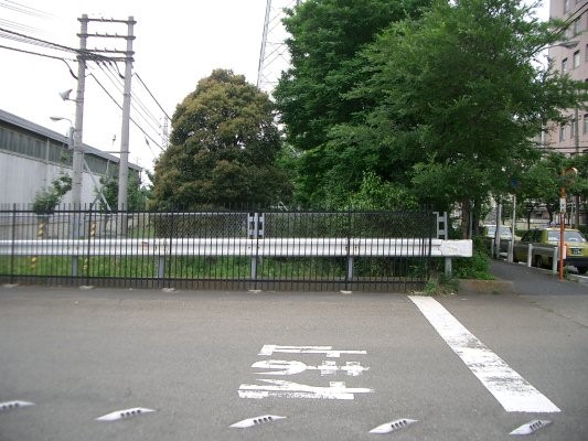 京浜急行電鉄大師線廃止区間【小島新田～桜本】廃線跡と思われる緑地帯