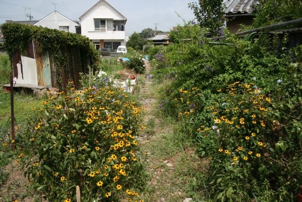 紀州鉄道線廃止区間【西御坊～日高川】 第三巻(日の出紡績～日高川)旧日高川付近より西御坊方面を望む