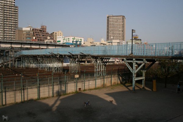 JR 東日本東北本線(鴬谷～日暮里)【芋坂跨線橋】全景(日暮里方より望む)