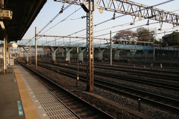 JR 東日本東北本線(鴬谷～日暮里)【芋坂跨線橋】全景(日暮里駅ホームより望む)