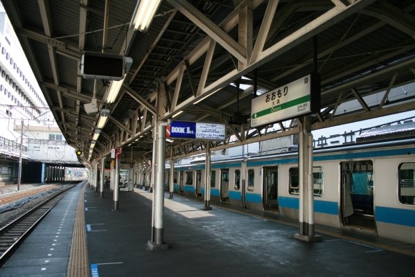 JR 東日本東海道本線【大森駅】古レール全景(ホーム上屋)