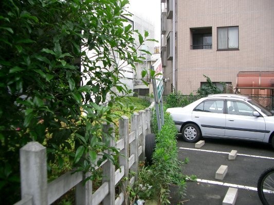 東京急行電鉄砧線跡【二子玉川園～砧本村】旧二子玉川園付近カーブ