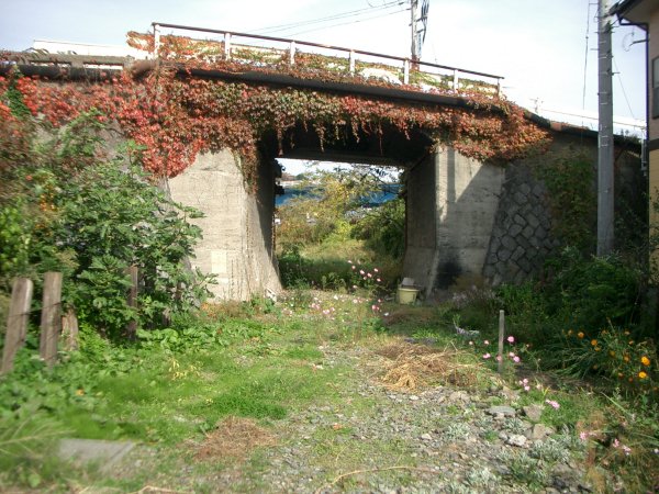 JR 東日本山田線貨物支線(宮古臨港線)跡【宮古～宮古港】