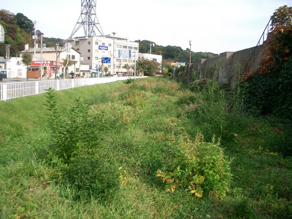 JR 東日本山田線貨物支線(宮古臨港線)跡【宮古～宮古港】