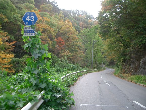 岩手県道 43 号盛岡大迫東和線【落合橋】県道標識