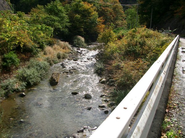 岩手県道 43 号盛岡大迫東和線【落合橋】旧橋橋脚跡