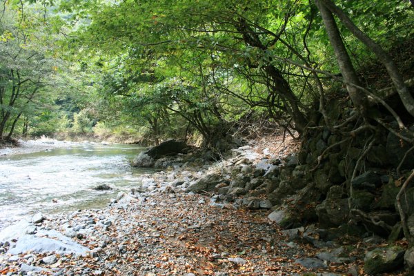 国道 106 号線旧道【天滝橋付近】上天滝橋宮古方分岐付近