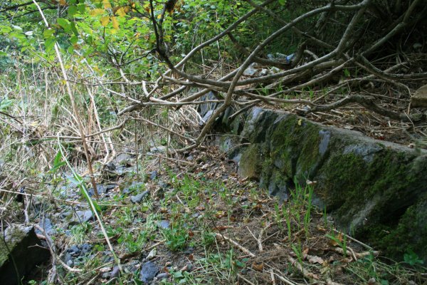 国道 106 号旧道【川目トンネル付近】盛岡方分岐付近