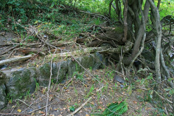 国道 106 号旧道【川目トンネル付近】盛岡方分岐付近