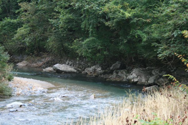 国道 106 号旧道【川目トンネル付近】宮古方分岐付近