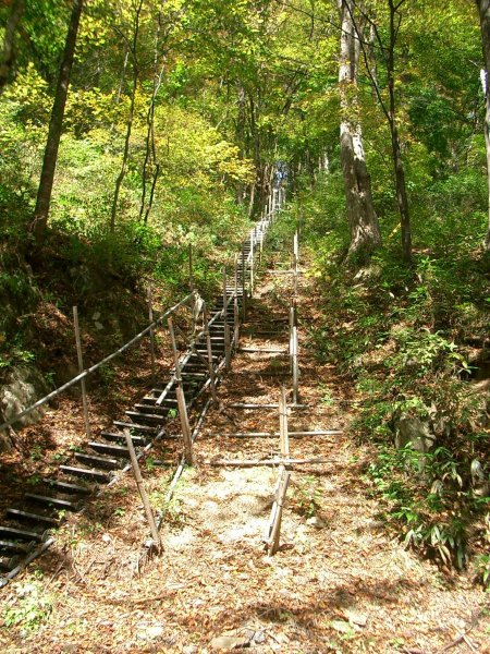 国道 106 号【簗川ダム建設予定地】地質調査作業桟道