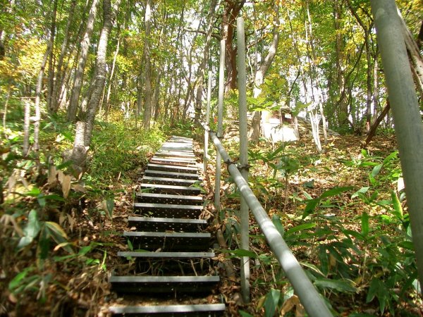 国道 106 号【簗川ダム建設予定地】地質調査作業桟道