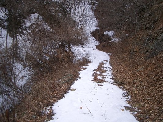 国道 340 号【雄鹿戸隧道】分岐 1 旧道内(再訪時)